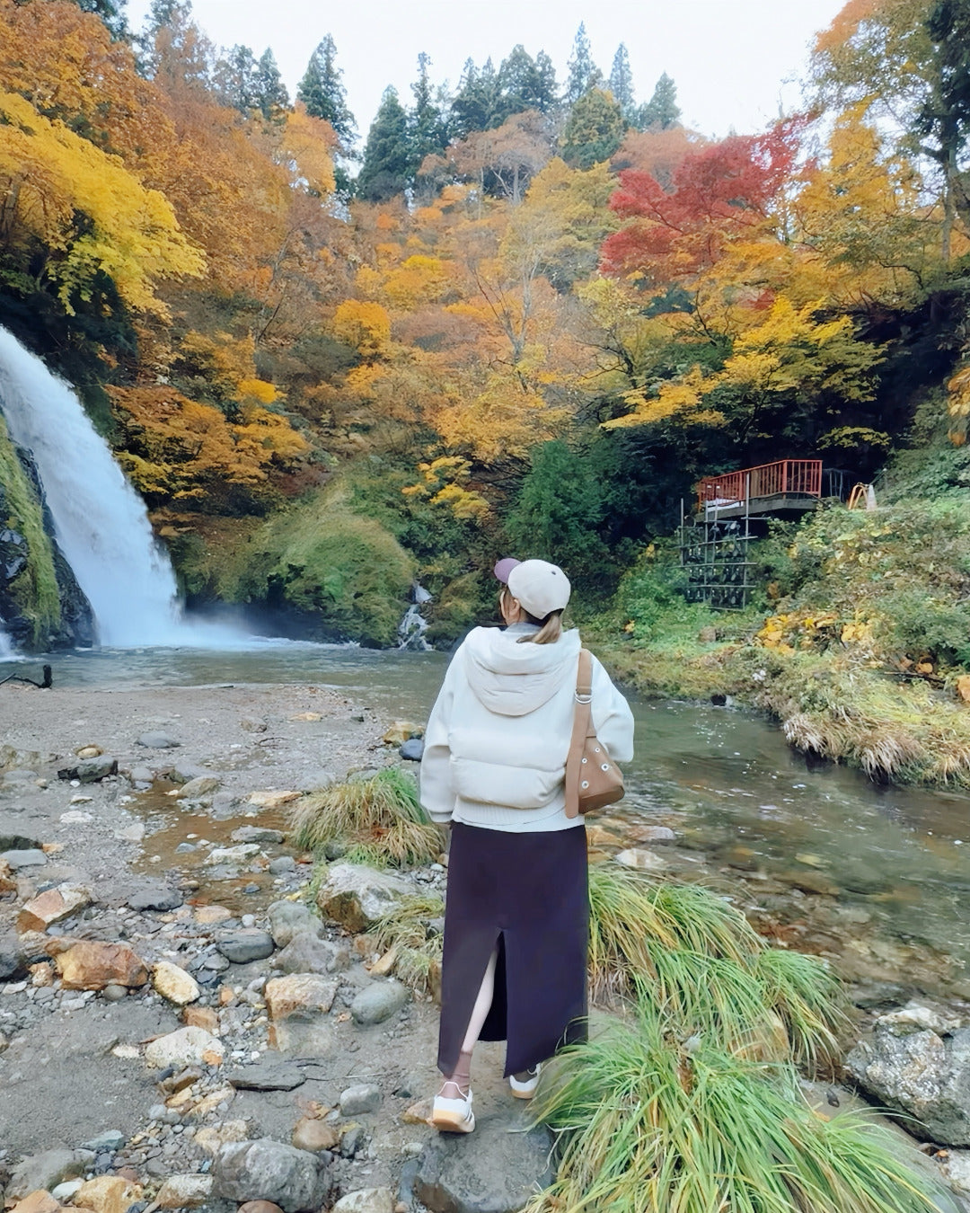 Cashmere Down Jacket (2 color)