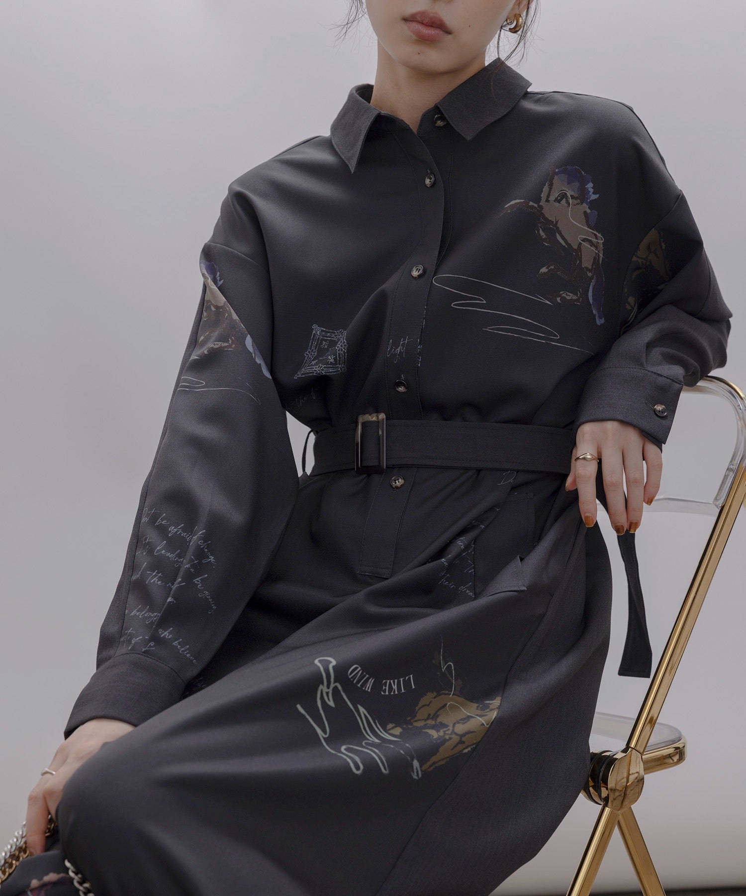 JAPAN BRAND - Horse Print Shirt Dress