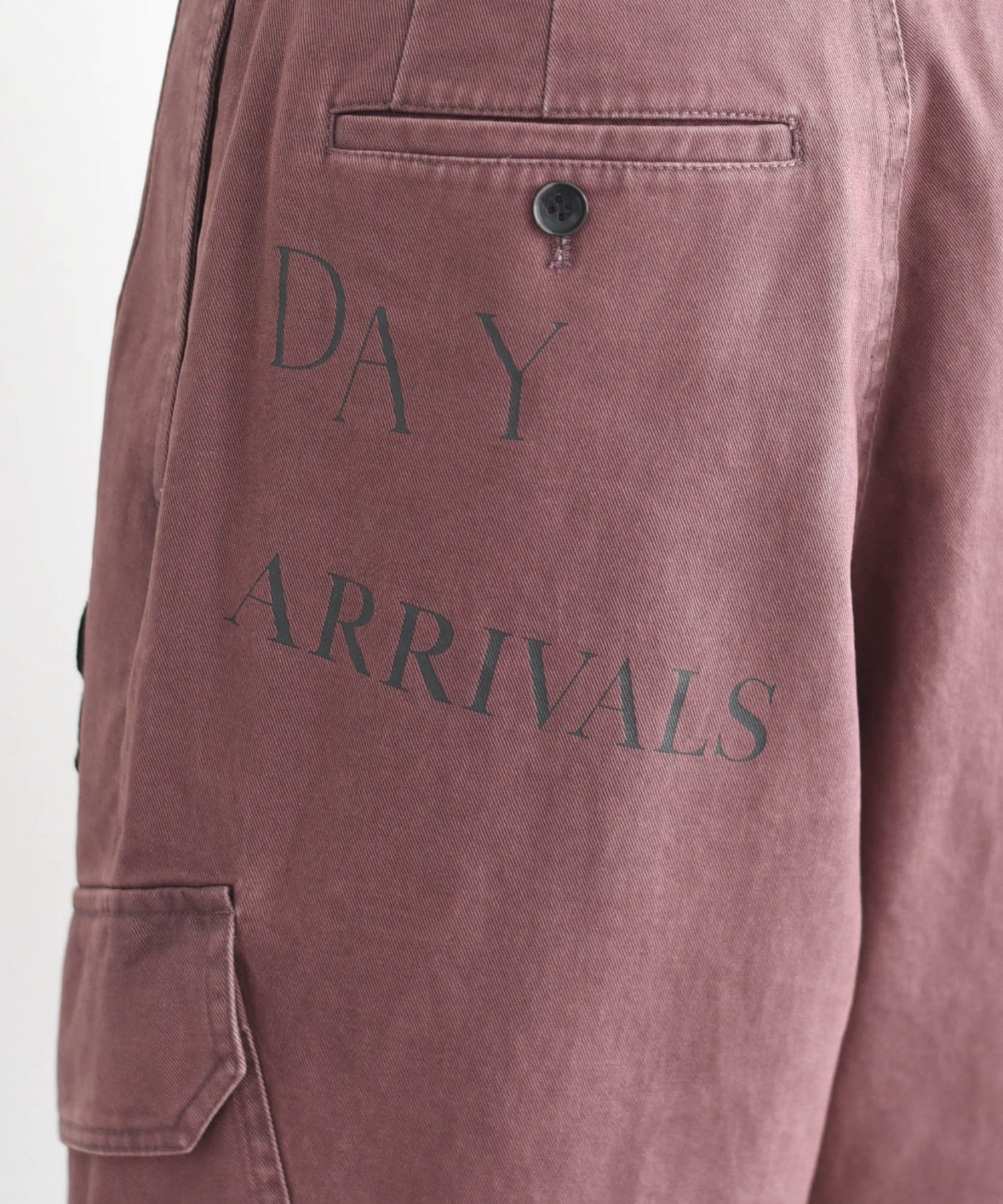 Embroidery Cargo Pants (3 Colors)