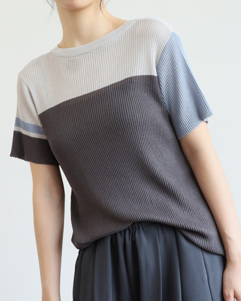 JAPAN BRAND - Color Block Ribbed Top (2 color)